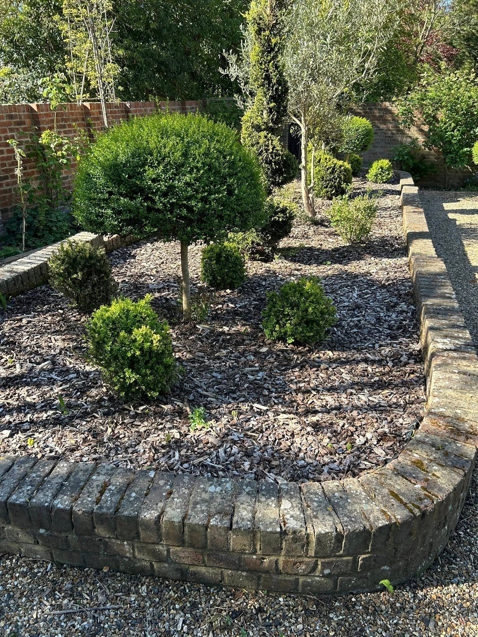 Hedge and Shrub Cutting